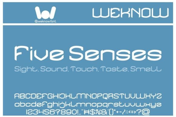 Five Senses: A Font That Elevates Digital Branding